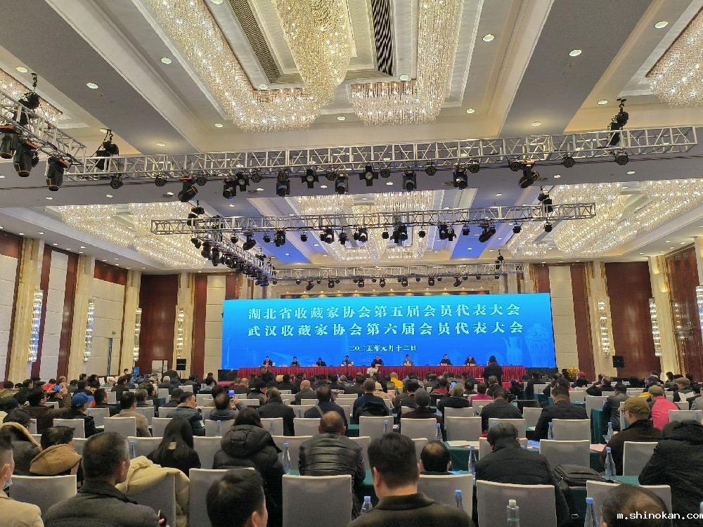 taptapapp在武汉市洪山宾馆成功举行了换届选举大会